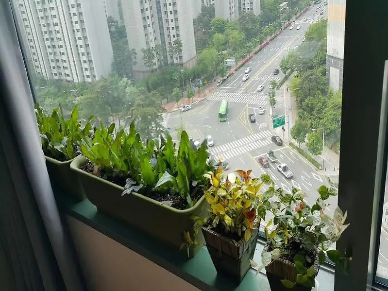 Gallery View Residences Soul 0*,  Jižní Korea